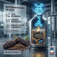 BR 10 2017 017381 0 - Produção de biohidrogênio a partir dos resíduos do açaí (sementes e ráquilas) em reatores anaeróbios em batelada