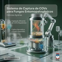 BR 10 2019 012565 9 - Sistema de captação de compostos orgânicos voláteis para fungos entomopatogênicos em cultivo em meio sólido