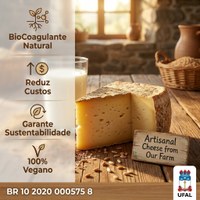 BR 10 2020 000575 8 - Obtenção de um novo agente coagulante de leite produzido pelo fungo Amphobotrys ricini através de fermentação em estado sólido