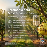 BR 10 2015 016404 1 - Formulações com atividade de feromônio sexual, eficazes no controle da mosca-das-frutas Anastrepha fraterculus