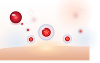 BR 10 2015 016405 0 - Nanopartículas poliméricas contendo extrato de própolis vermelha, processo de obtenção de nanopartículas poliméricas, composições dermocosméticas contendo as mesmas, processos de obtenção de composições e usos